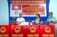 越南国会和各级人民议会代表选举的突出结果