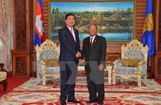柬埔寨国会与政府领导人会见胡志明市市委书记丁罗升