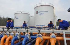 越南进口自东盟石油类产品猛增