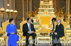越南国家主席陈大光会见柬埔寨国王诺罗敦·西哈莫尼