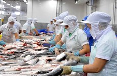 12家越南鲶鱼加工出口企业获得输美“通行证”