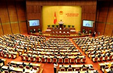 越南国会社会问题委员会为进一步促进社会公平和进步作出贡献