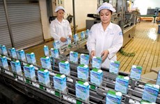 越南乳业股份公司成功生产满足美国有机标准的鲜牛奶
