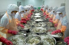 越南对中国的虾类出口额大幅度增加