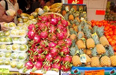 越南对美国、日本的水果出口量增长81%