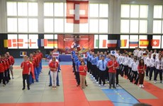 第四次欧洲越武道锦标赛：德国夺得冠军