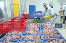 越南对美国出口的鲶鱼产品需进行取样检测
