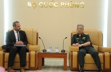 越南国防部领导会见美国国防部副助理部长