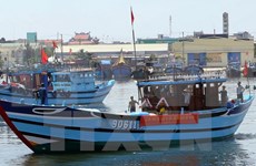 越南渔业工会发表声明 强烈反对中国船只攻击越南渔民