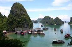 2016年越南夏令营：世界26个国家的越侨青年参观世界自然奇观下龙湾
