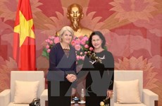越南国会主席阮氏金银会见丹麦和瑞典驻越南大使