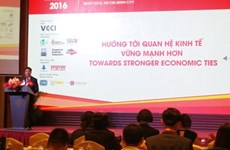 越南新加坡企业家论坛：促进越新经贸投资的重要平台