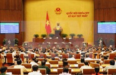 越南第十四届国会一次会议：国会代表对新一届政府寄托厚望