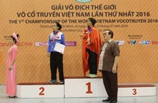 越南传统武术世界锦标赛：越南体育代表团居奖牌榜榜首