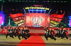 2016年越南传统武术国际节在平定省圆满落幕