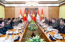 越南与印尼加强防务合作