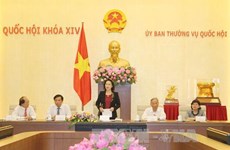 越南国会主席阮氏金银：越南党和国家一直关注民族文化保护与传承工作