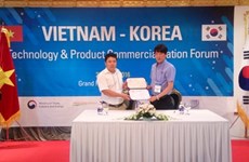 韩国已对越南400家企业进行技术转让