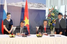 第29届外交会议：越南把握机遇 提高融入国际进程中的地位