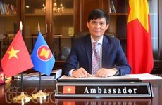 29届外交会议：文化外交助推越南与各国的友好关系