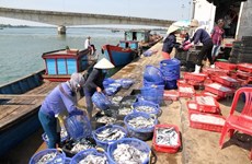 越南水产加工出口协会要求台塑集团对越南中部水产出口企业负起责任