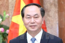 国家主席陈大光：越南一直支持法国积极和建设性的作用