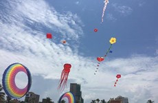 岘港市首次举办“多彩岘港风筝节”