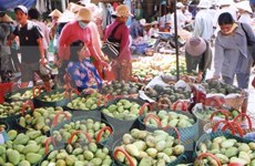 越南同塔省加大10个主要农产品的出口力度