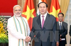 国家主席陈大光会见印度总理莫迪