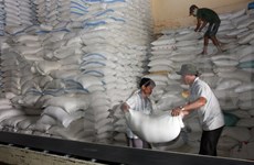印尼将向缅甸购买三十万吨大米