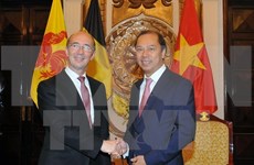 推动越南与瓦隆大区及法语区联邦合作计划有效开展