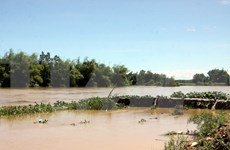 第四号台风侵袭越南引发洪水 造成重大人员和财产损失