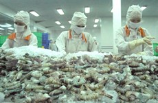 越南水产加工出口协会将起诉美国无理对越南虾类产品征收返倾销税