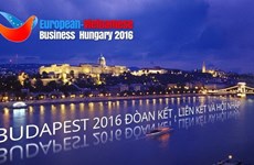 第10届旅欧越桥企业论坛在匈牙利举行
