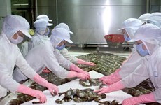 越南虾类对中国出口呈现起色
