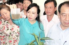 越南胡志明市登革热病例数量呈上升态势