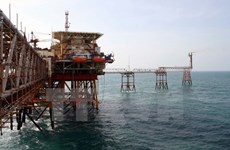 越南在俄罗斯Nhenhexky自治区13个油田进行石油勘探开采活动