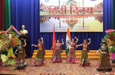 印地语日在越南胡志明市举行