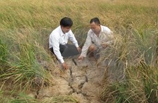 越南政府关于预防干旱和海水入侵项目资金分配的指导意见