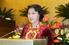 越南国会主席阮氏金银启程对老挝进行正式友好访问