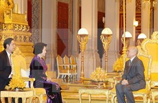 国会主席阮氏金银礼节性拜会柬埔寨国王诺罗敦•西哈莫尼
