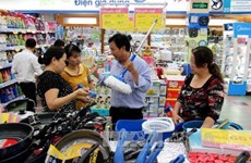 越南工商部正式启动2016年“越南货物辨别宣传活动