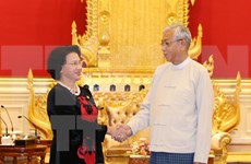阮氏金银主席拜会缅甸总统丁觉
