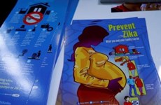 泰国考虑为所有孕妇提供寨卡病毒免费检测服务