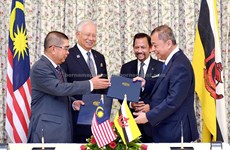 马来西亚与文莱加强多个领域的合作关系