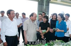 越南政府总理阮春福参观海防VinEco高科技农业投资项目
