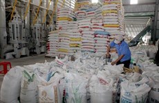 菲律宾将再从越南进口逾29.3万吨大米