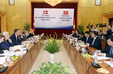 越南与丹麦继续加深全面伙伴关系