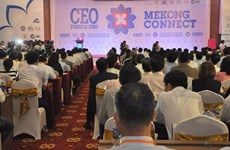 2016年湄公首席执行官连接论坛将在芹苴市举行