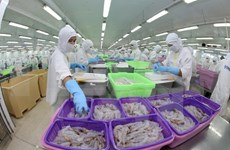 2016年越南虾类出口总额可达31亿美元